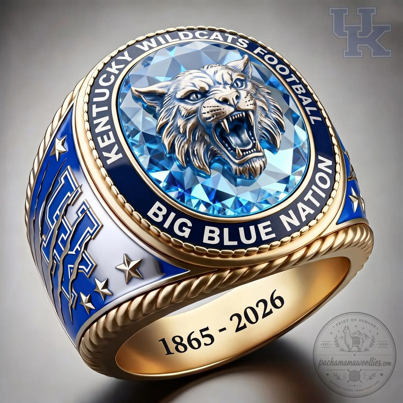 Kentucky Wildcats Football Big Blue Nation Championship Ring